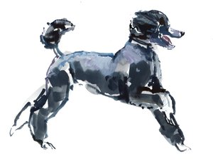 Sheer Class, 2013, (akvarel og gouache på papir)
