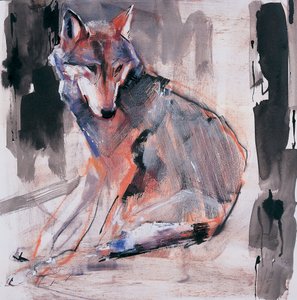 Sitting Wolf, 2000 (blandet medier på papir) af Mark Adlington