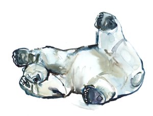 Snow Rub (isbjørn), 2013 (akvarel og gouache på papir) af Mark Adlington