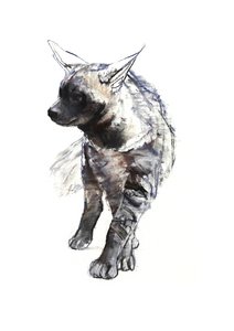 Striped Hyena Pup, 2010, (conté og pastel på papir) af Mark Adlington
