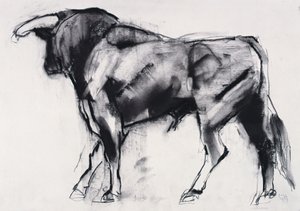 Toro Azul, studie (kul på papir) af Mark Adlington