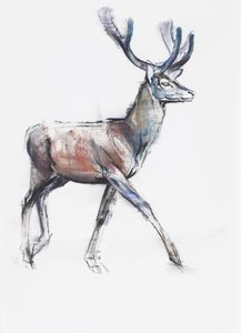 Velvet, 2006 (charcoal und conte på papir) af Mark Adlington