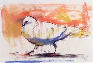 Walking Dove, Trasierra, 1998 (konte og trækul på papir) af Mark Adlington