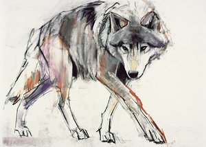 Wolf (blandet medier på papir) af Mark Adlington