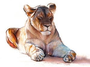 Yogi Lioness, 2019 af Mark Adlington