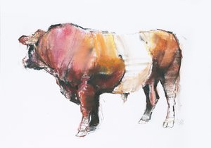 Zeus (Looking Away) 2006 (charcoal und conte på papir) af Mark Adlington