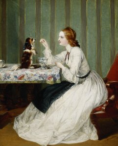 Donationer heldigvis modtaget, 1862