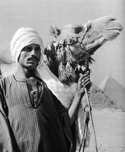 Kamelfører nær pyramiderne, Egypten, 1937