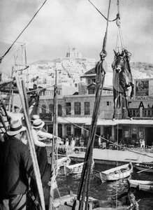 Forsendelse af muldyr, Syros Island, Grækenland, 1937. af Martin Hurlimann