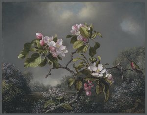 Æbleblomster og kolibri, 1871 af Martin Johnson Heade