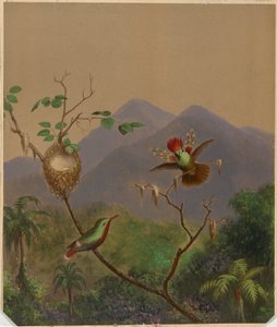 Brasilianske kolibrier III af Martin Johnson Heade