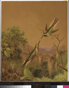 Brasilianske kolibrier IV af Martin Johnson Heade