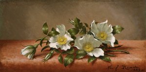 Cherokee roser af Martin Johnson Heade