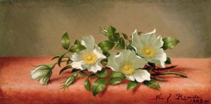 Cherokee Roses, 1889 af Martin Johnson Heade