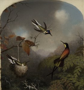 Hummingbirds: Two Sungems and a Crimson Topaz, 1866 af Martin Johnson Heade