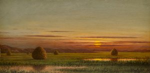 Marskland af Martin Johnson Heade