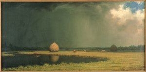 Salt Marsh Hay, ca. 1865 (olie på lærred) af Martin Johnson Heade