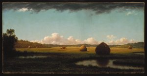 Sommerens byger af Martin Johnson Heade