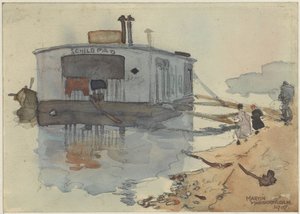 Send skildpadden på en bank