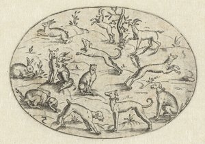 Oval med hunde, geder og kaniner Nev Thier Bvechlein (serietitel)