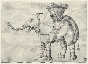En elefant med Howdah, ca. 1485. af Martin Schongauer