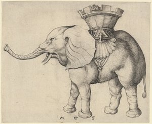 Elefant af Martin Schongauer