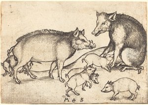 Familie af svin af Martin Schongauer