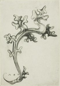 Ornament med blade af Martin Schongauer