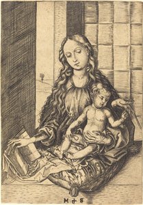 Madonna med en papegøje af Martin Schongauer