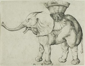 Elefanten af Martin Schongauer