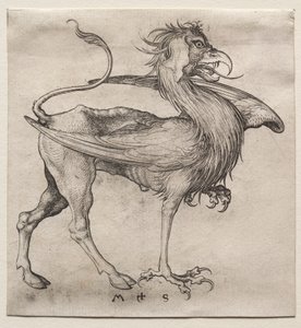 Griffinen af Martin Schongauer