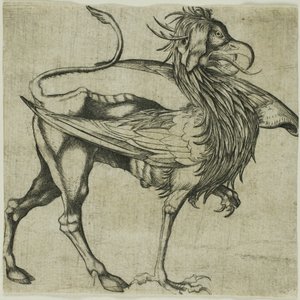 Griffen af Martin Schongauer