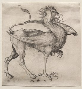 The Griffin, 1400-tallet. af Martin Schongauer