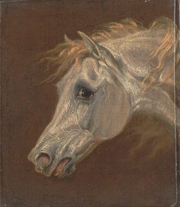 Hoved af en grå arabisk hest af Martin Theodore Ward