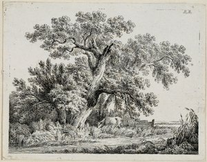 landskab