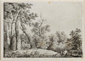 landskab
