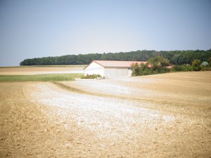 Kesä af Martina Konitzky