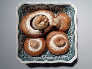 Villeroy og Boch porcelæn med svampe af Martina Konitzky