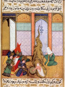 Fødslen af profeten Muhammed Miniature taget fra "Siyer-i Nebi"" (Siyer i Nebi) episk digt, der fortæller om profeten Muhammeds liv skrevet af Mustafa, søn af Yusuf d