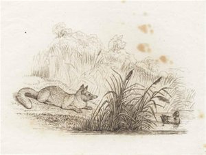 Illustration til "Halvhundrede Fabler for Børn" af Hey af Martinus Rørbye
