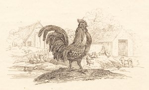 Illustration til "Halvhundrede Fabler for Børn" af Hey af Martinus Rørbye