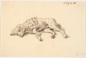 Liggende puddelhund af Martinus Rørbye