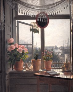 Udsigt fra kunstnerens vindue