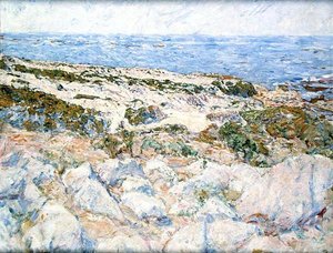 Sandklitter i Californien (olie på lærred) af Mary C. Brady
