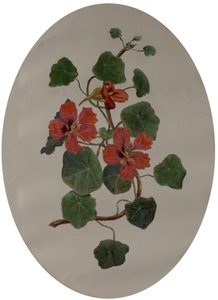 Nasturtiums, ca. 1870 (olie på papir) af Mary Dakeyne Townroe