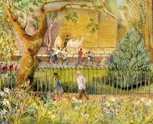 London Zoo, Camels, 2003 (olie om bord) af Mary Kuper