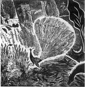 Tegn på en forestående storm, 2004 (vinylgravering)