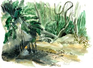 Tyrona, jungle, 2008 (akvarel)