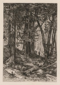 Interiør af en Californisk skov efter Thomas Moran American, 1837-1926,, 1888.