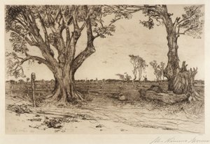 Old Lindens - nær Easthampton af Mary Nimmo Moran